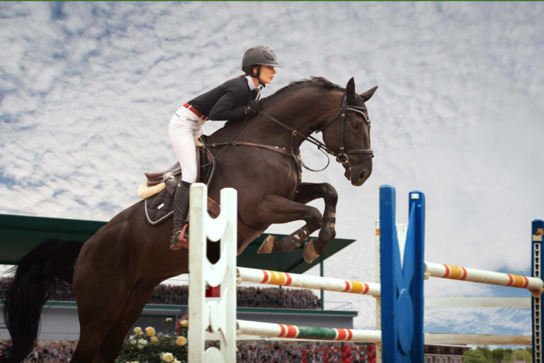 Gallop Through Time: The Many Faces of Horse Racing