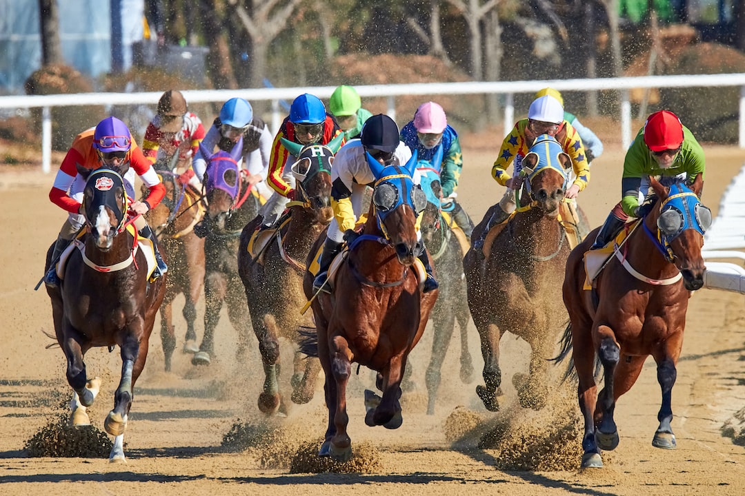 horse-racing